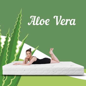 aloe_vera_emi_prevleka_za_žimnico