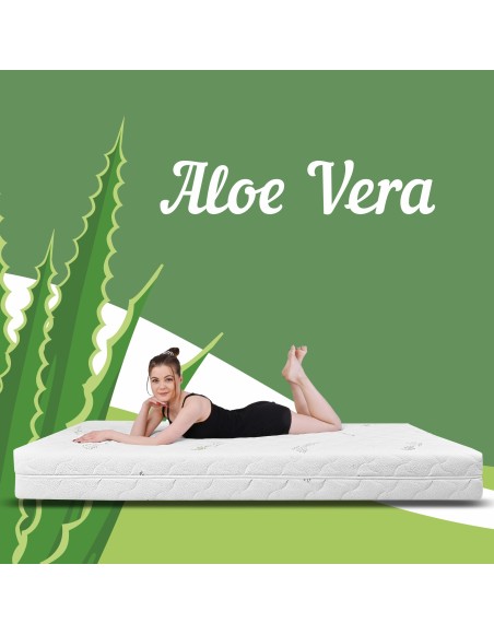 aloe_vera_emi_prevleka_za_žimnico