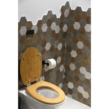 design_toilet