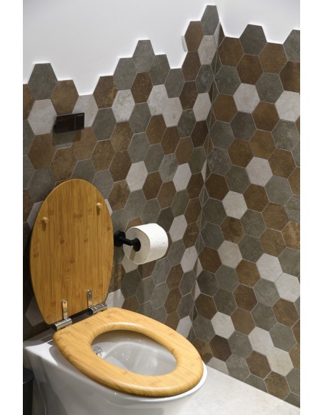 design_toilet