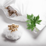 Aromatični vzglavnik Mugwort 50x70 cm EMI