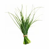 Aromatski vzglavnik Lemongrass 50x70 cm EMI