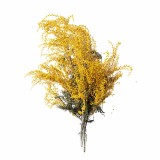 Aromatični vzglavnik Albizia 50x70 cm EMI