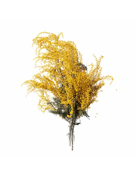 Aromatični vzglavnik Albizia flower 50x70 cm EMI