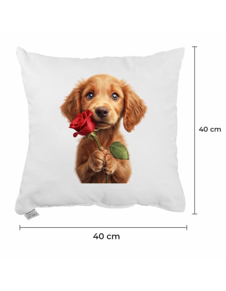 Dekorativni vzglavnik Maxie 40x40 cm EMI