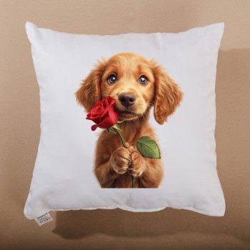 Dekorativni vzglavnik Maxie 40x40 cm EMI