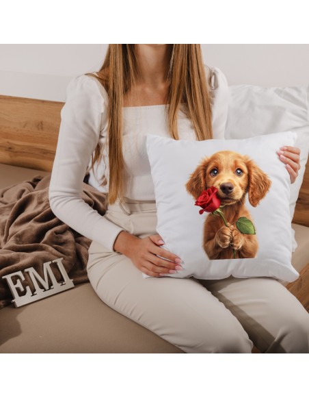 Dekorativni vzglavnik Maxie 40x40 cm EMI