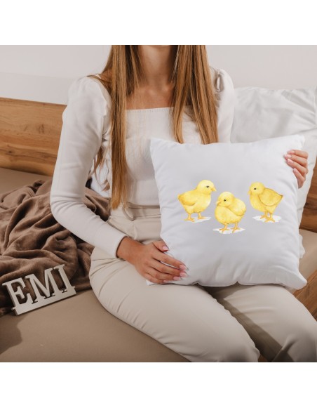 vzglavnik_s_potiskom_emi