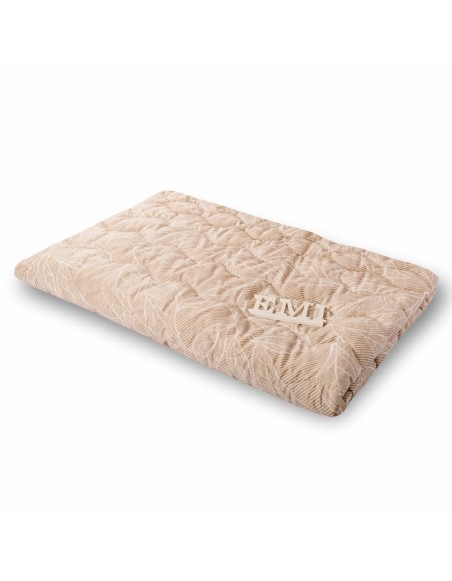 poletna_odeja_viliam_emi