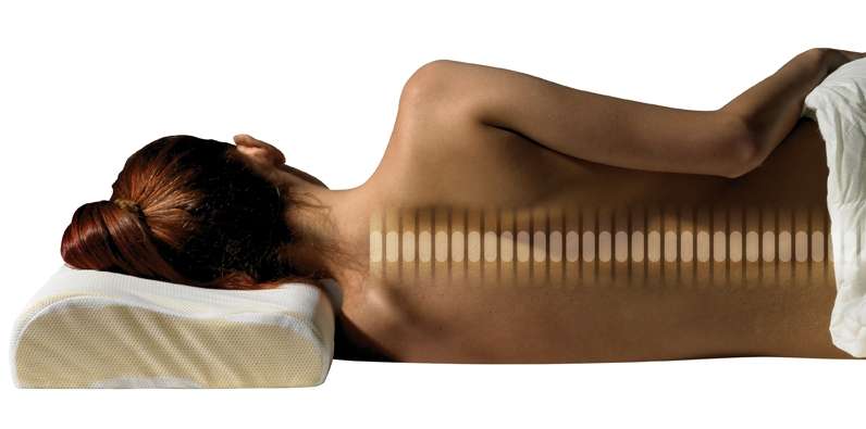 anatomska blazina sivke