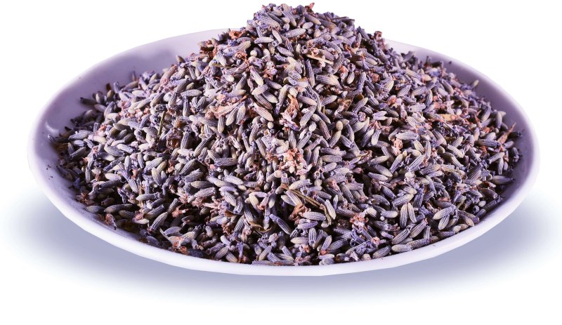 posušeni cvetovi sivke