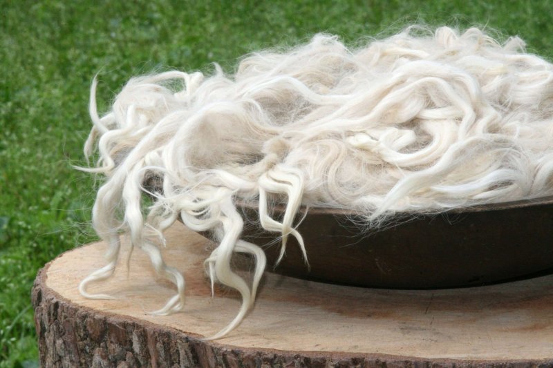 biorazgradljiva volna