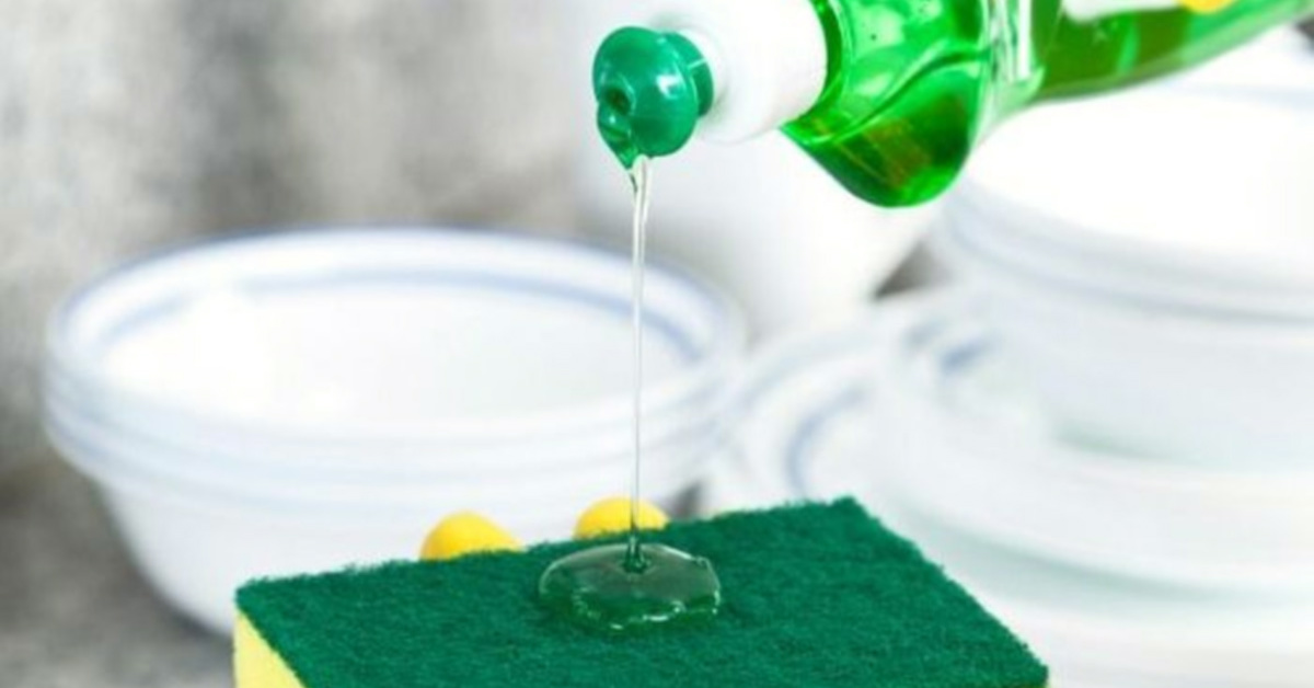 DETERGENT, KOT GA NE POZNATE